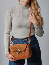 Shoulder Bag Velvet Caviar Leather Milano Brown velvet caviar VC25069-vue-porte