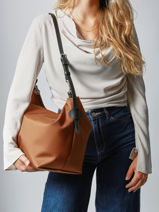 Longchamp Besace longchamp toile Hobo bag Brown-vue-porte