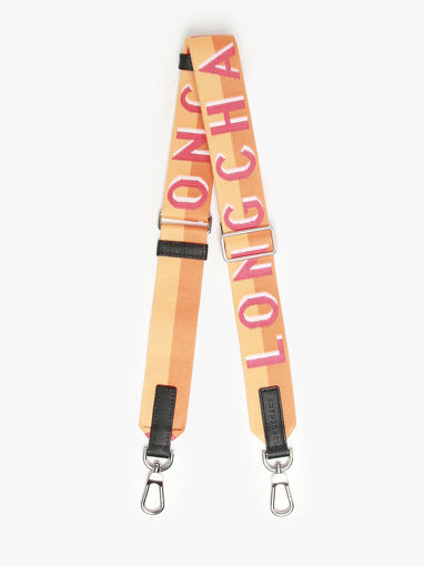 Longchamp Bandoulire ombre Jewelry Brown