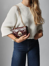 Leather Nano Moon Crossbody Bag Vanessa bruno Brown moon 84V40326-vue-porte