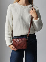 Sac Port paule Heritage Cuir Biba Marron heritage DON1L-vue-porte