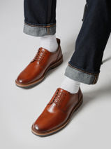 Derby Shoes Aldwin Lace In Leather Clarks Brown men 26183252-vue-porte