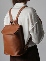 Longchamp Le foulonn Backpack Brown-vue-porte