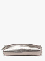 Pencil Case Paul marius Gray vintage PLUMIER