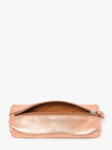 Trousse Paul marius Rose vintage PLUMIER-vue-porte