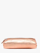 Pencil Case Paul marius Pink vintage PLUMIER