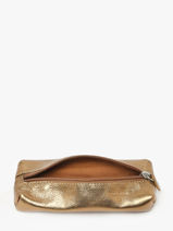 Pencil Case Paul marius Gold vintage PLUMIER-vue-porte