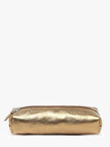 Pencil Case Paul marius Gold vintage PLUMIER