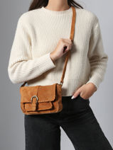 Shoulder Bag Jenny Leather Pieces Brown jenny 17160093-vue-porte