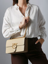 Sac Bandoulire Love Bag Icon Cuir Pinko Beige love bag icon A0F1-vue-porte