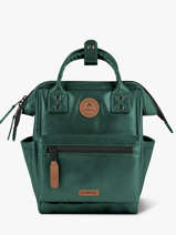 Backpack Adventurer Recycled Polyester Cabaia Green adventurer XS