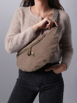 Belt Bag Le voyage en panier Brown velours AHP244-vue-porte