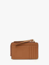 Card Holder Leather Crinkles Brown caviar 14318