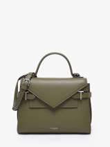 Medium Grained Leather Emilie Shoulder Bag Le tanneur Green emily TEMI1014