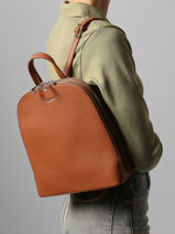 Backpack Miniprix Brown grained F2547-vue-porte