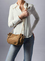 Sac Bandoulire Premium Cuir Gerard darel Marron premium DCS07400-vue-porte