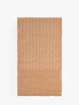 Scarf Tommy hilfiger Brown th flag AW17787