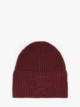 Beanie Tommy hilfiger Red elevated AW17779