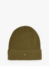 Beanie Tommy hilfiger Green th flag AM12796