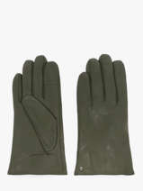 Gloves Isotoner Green women gloves 85264