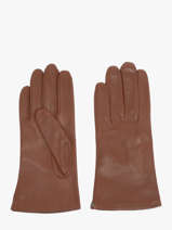 Gloves Isotoner Brown women gloves 68285