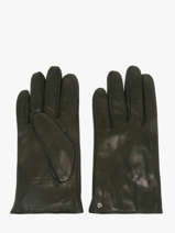 Gloves Isotoner Black women gloves 85264