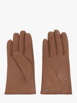 Gants Isotoner Marron women gloves 85264