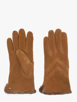 Gloves Isotoner Brown women gloves 85159