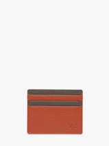 Card Holder Leather Yves renard Orange bicolor 242