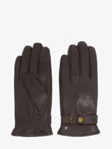 Gloves Isotoner Brown men gloves 85361