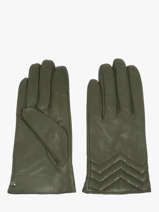 Gloves Isotoner Green women gloves 85359