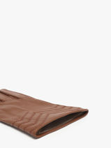 Gloves Isotoner Brown women gloves 85359-vue-porte