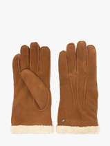 Gloves Isotoner Brown women gloves 68451