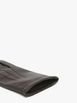 Gloves Isotoner Brown men gloves 69077-vue-porte