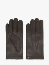 Gants Isotoner Marron men gloves 69077