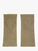 Gloves Isotoner Green women gloves 68654