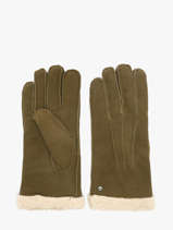 Gants Isotoner Vert women gloves 68451