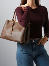 Sac  Main Azalie Ted lapidus Marron azalie TLHF9584-vue-porte