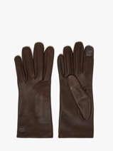 Women's Leather Gloves Etrier Brown accessoires EGLO416G