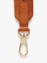 Longchamp Bandoulire ombre Jewelry Brown-vue-porte