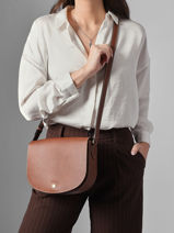 Longchamp Epure Messenger bag Brown-vue-porte