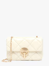 Medium Leather Moon Crossbody Bag Vanessa bruno Beige moon 84V40533