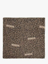 Scarf Pieces Brown sabri 17164359