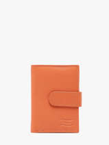 Porte-cartes 12 Fentes Cuir Crinkles Orange caviar 14041