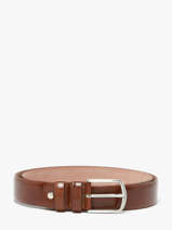 Belt Etrier Brown bride EBRI715C