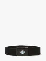 Ceinture Orcutt Dickies Noir orcutt KD0A4X7E