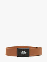 Ceinture Orcutt Dickies Marron orcutt KD0A4X7E