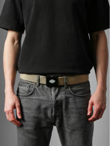Belt Orcutt Dickies Beige orcutt KD0A4X7E-vue-porte