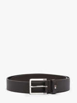Belt Tommy hilfiger Brown olivier AM13755
