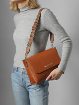 Crossbody Bag Alexia Valentino Brown alexia VBS5A803-vue-porte